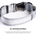 LED Dog Collar - Grey