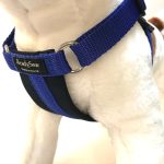 Standard Dog Harness