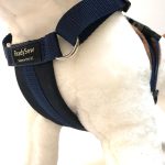 Standard Dog Harness