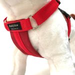 Standard Dog Harness