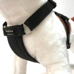 Standard Dog Harness