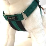 Standard Dog Harness